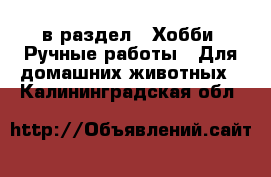  в раздел : Хобби. Ручные работы » Для домашних животных . Калининградская обл.